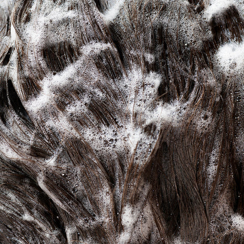 Close-up of rich shampoo lather worked through wet hair, highlighting the cleansing experience of Oribe Signature Shampoo.