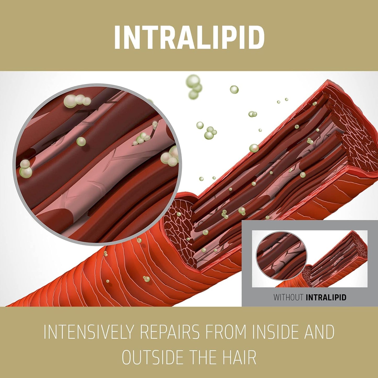 IntraLipid technology graphic for Goldwell Rich Repair showing intensive repair from inside and outside the hair
