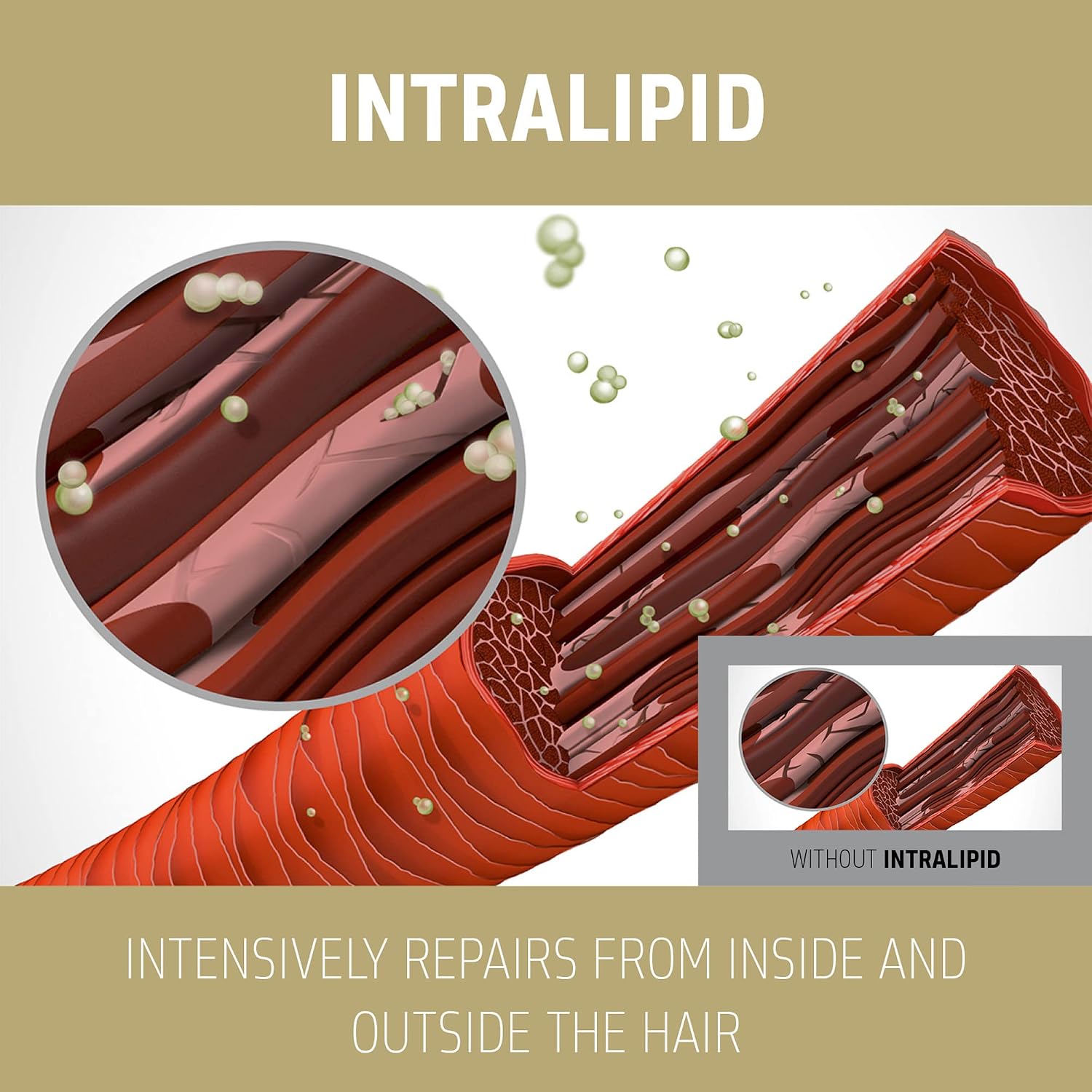 IntraLipid technology graphic for Goldwell Rich Repair showing intensive repair from inside and outside the hair