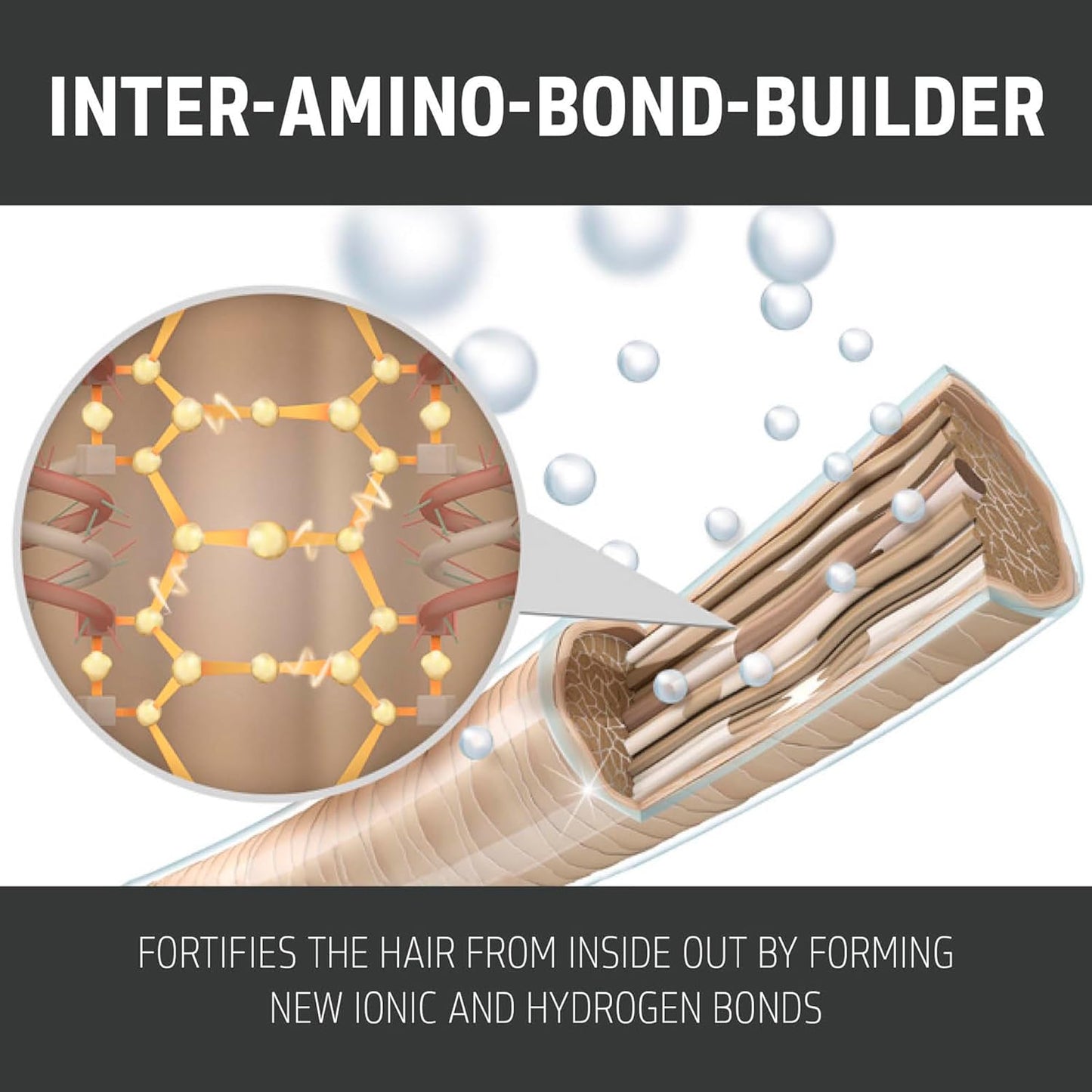 Inter-Amino-Bond-Builder technology graphic showing bond support for stronger more resilient hair