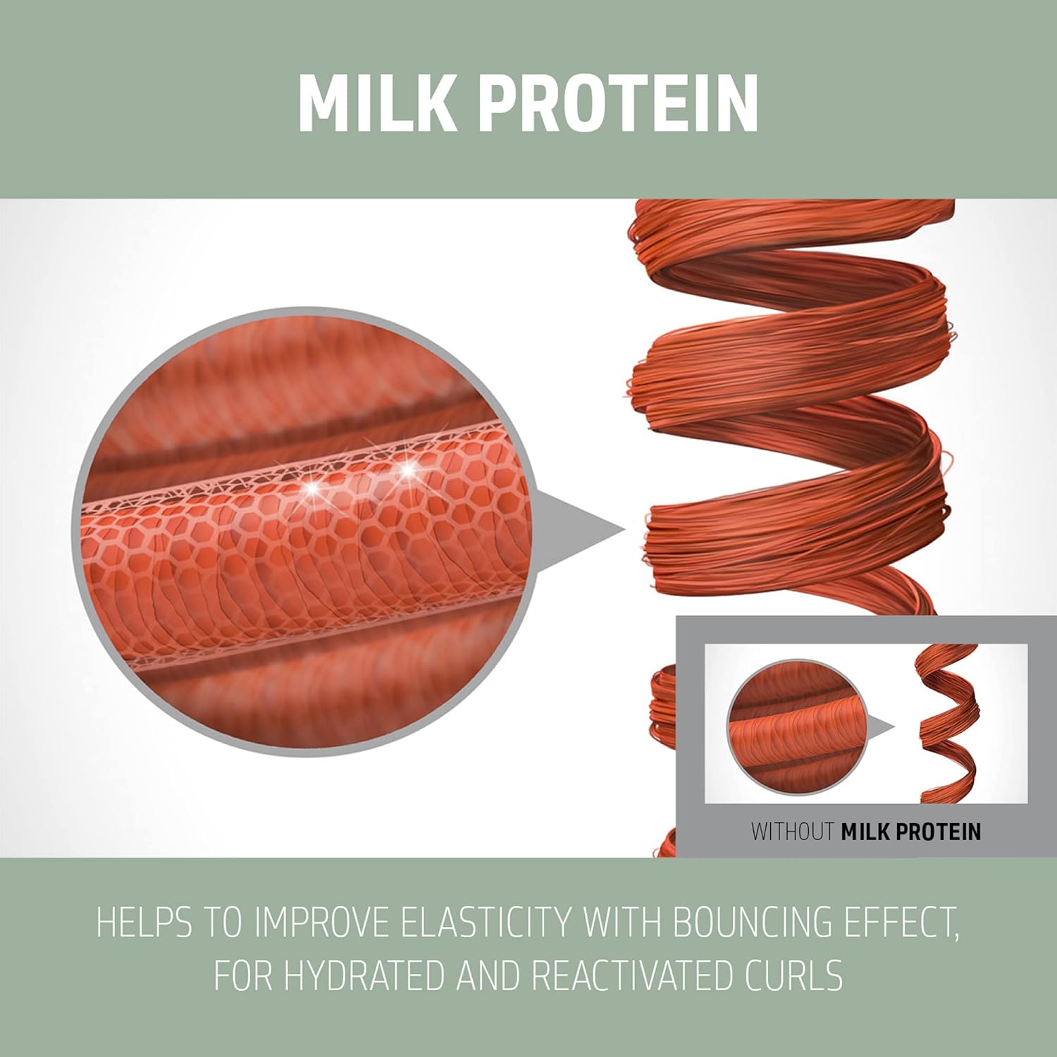 Milk Protein ingredient graphic for Goldwell Curls and Waves hair care to improve elasticity and bounce